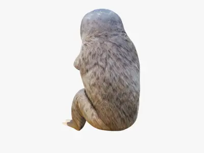 Sloth Free 3D model