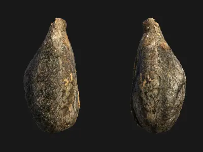 Medieval Grape Seed Vitis vinifera PBR 8K 3D model