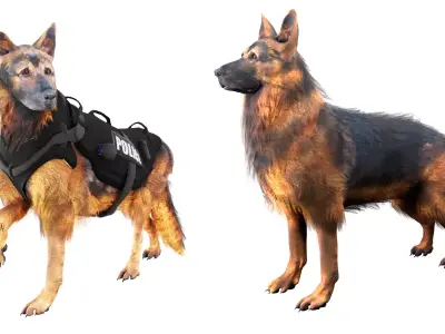 Animal Bundle Low-poly 3D model