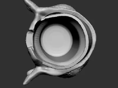 Toothless popcorn bucket 3D print model