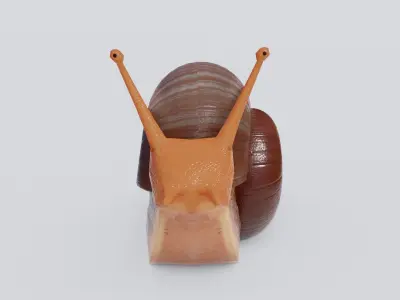 Low Poly Snail 3D Model Low-poly 3D model