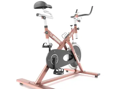 Stationary Spinning Bike 3D Model Low-poly 3D model