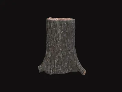 Medieval Tree Trunk V04 Low-poly 3D model