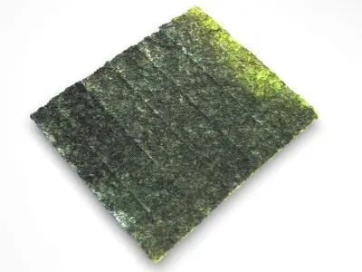 Sushi Nori 3D model