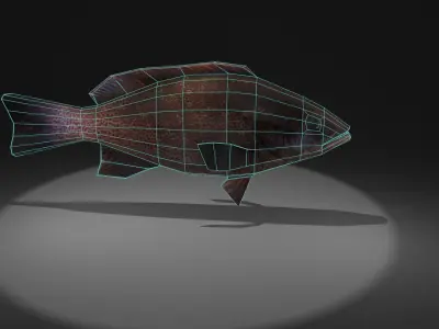 Mycteroperca fish Low-poly 3D model