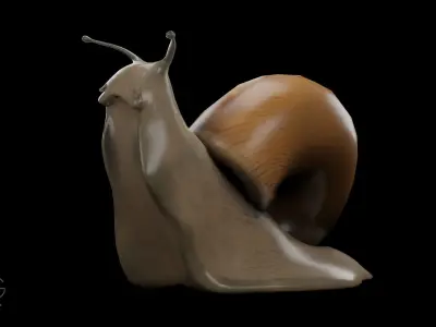 Snail Low-poly 3D model purchase