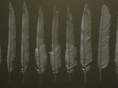 FEATHERS - 40 High poly sculpts and IMM Brush 3D model