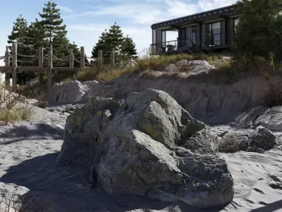  Medium Lichen Covered Beach Rock Model 
