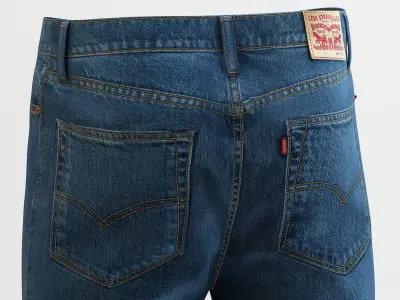 Levi's - 501 Blue Jeans 3D model
