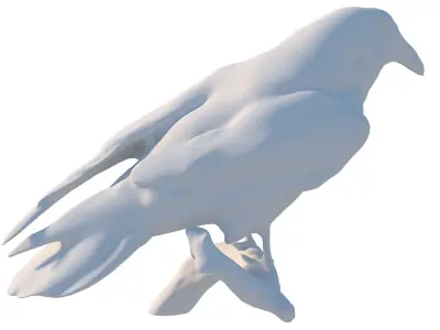 Raven perched on branch 3D model