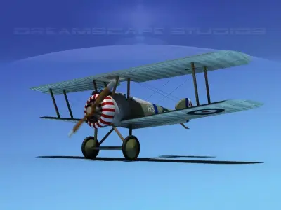 Sopwith Camel 3D model by Dreamscape from CGTrader (Rigged)