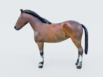 Horse Free 3D model purchase