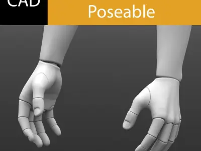 Solidworks Hands Poseable 3D model