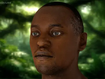 Adult African Male Head 3D model