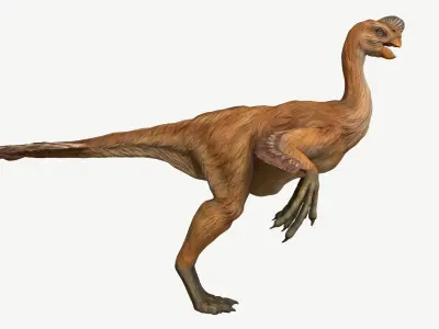 Citipati dinosaur Low-poly 3D model