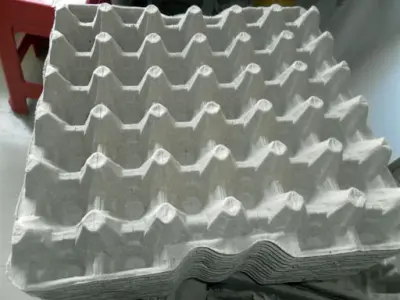 Egg Tray Mold 3D model