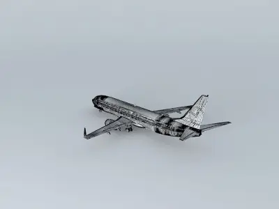 Central Airlines Boeing 737 839B Interior Free 3D model
