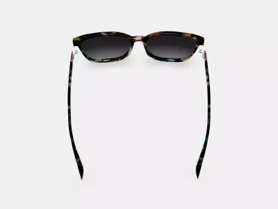 Esme Sunglasses in Aventurine Tortoise with Polished Gold 3D model purchase
