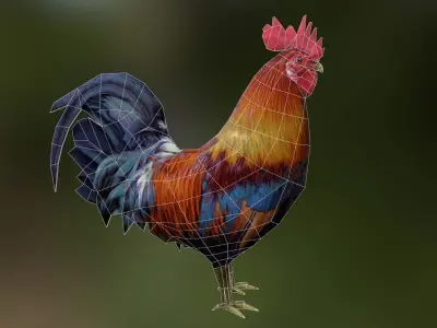 Rooster rigged animated and textured Low-poly 3D model