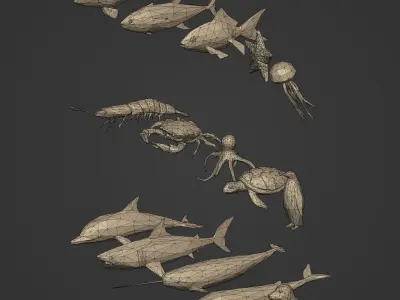 LowPoly Sea Animals Pack V2 Low-poly 3D model