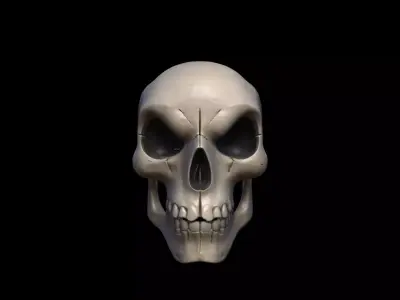 3d Model Skull Mask Human  Head 3D model