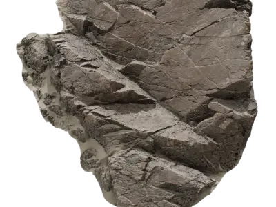  Large Wedge Beach Rock Model 