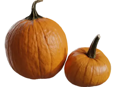  Long Stem Pumpkin Models Collection 