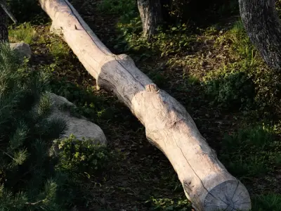  Long Bare Cut Log Model 