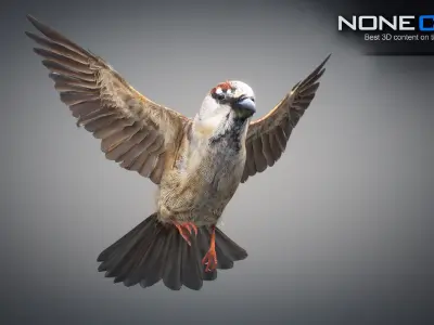 Animated Sparrow 3D model