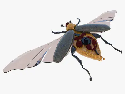 Souvenir of the May beetle 3D model