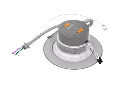 Commercial Retrofit Downlight 3D model