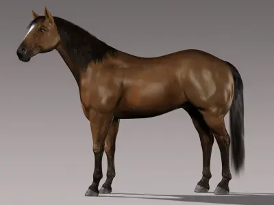  Horse (Brown) (Animated) (Fur) 