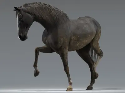 Horse Black Rigged 3D model