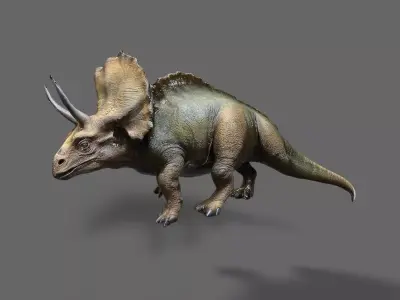 Dinosaurs Pack 3 Low-poly 3D model