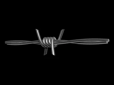 Barbed Wire 3D model buy