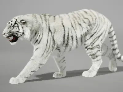 Tigers- White and Bengal - UNREAL PROJECTS 3D model