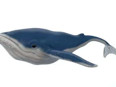Whale Cartoon 3D model purchase
