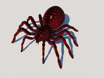 imazing spider Low-poly 3D model