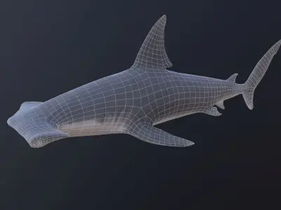 hammerhead shark Low-poly 3D model shop