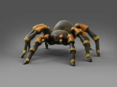3D Spider Tarantula Rigged  Low-poly 3D model