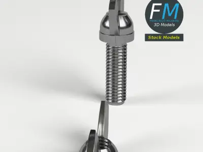 Wing nut and screw 3D model