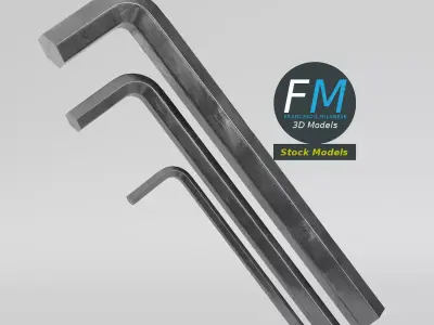 Hex Key Wrench Set 3D model