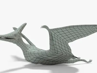 Pteranodon Rigged Basemesh Low-poly 3D model
