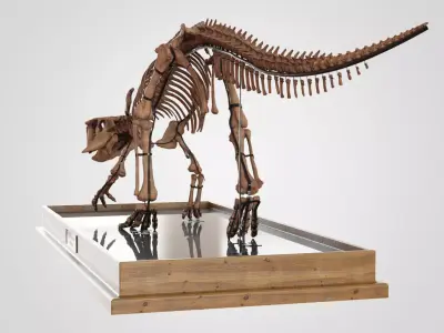Psittacosaurus 3D model
