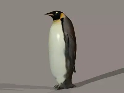 penguin lowpoly Low-poly 3D model