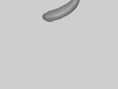 Hippopotamus Tail Low-poly 3D model