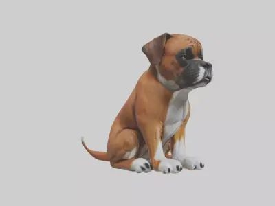Sitting Boxer model Low-poly 3D model