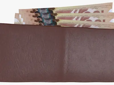 Canada 100 Dollar Wallet Money Purse 3D model