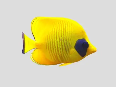 Bluecheek butterflyfish Low-poly 3D model