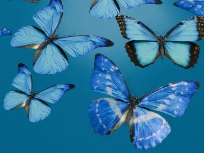 butterfly Low-poly 3D model 3